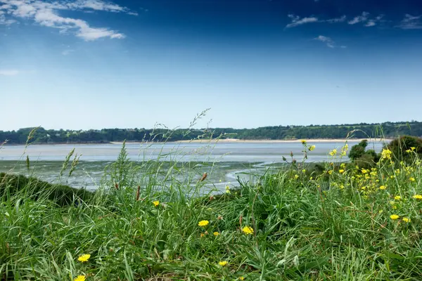 Vue Panoramique Lac Depuis Milieu Des Fleurs Bretagne France Europe — Photo