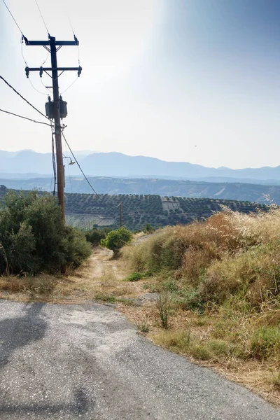 Güç Hattı Tarım Alanı Crete Yunanistan — Stok fotoğraf