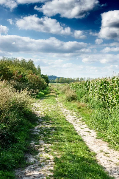 Polną Drogą Przez Pola Trawy Przed Zachmurzonym Niebie — Zdjęcie stockowe