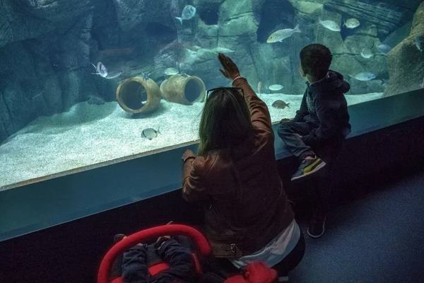 Matka Chłopiec Patrząc Ryby Akwarium Grecja — Zdjęcie stockowe