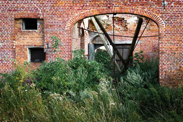 れんが造りの構造とブッシュの植物の放棄された遺跡 — ストック写真