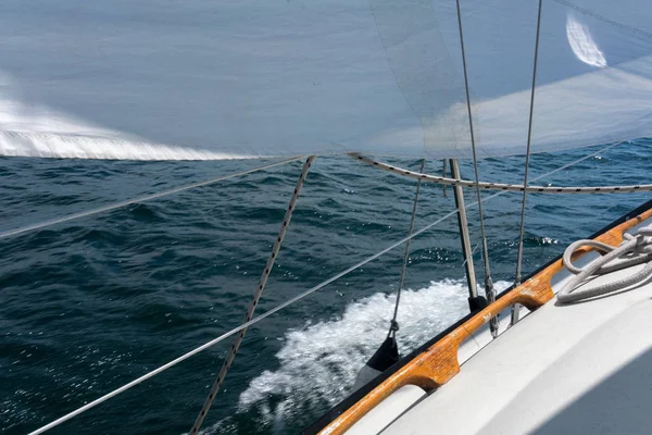 Segelbåt Cruising Havet Toronto Kanada — Stockfoto