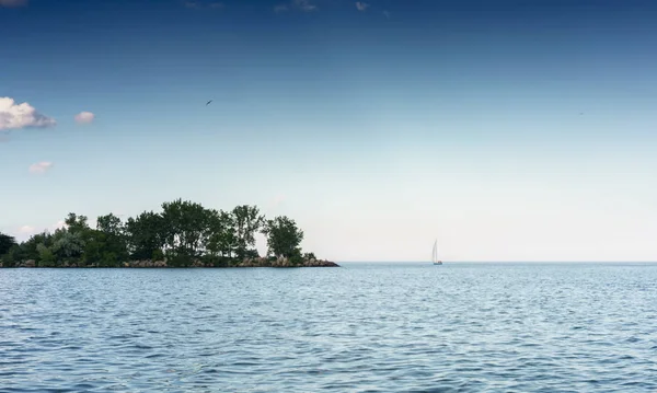 Sailboat Cruising Sea Toronto Canada — Stock Photo, Image