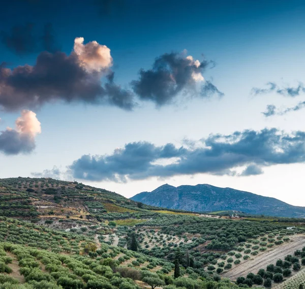 Doğal Manzara Sırasında Günbatımı Crete Yunanistan — Stok fotoğraf