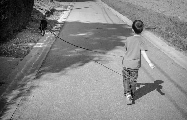 Menino Andando Com Cão Estimação Caminho — Fotografia de Stock