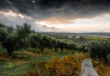 Doğal manzara sırasında günbatımı, Archanes, Crete, Yunanistan