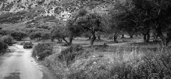 Vista Lejana Coche Medio Frondoso Follaje Grecia — Foto de Stock