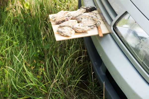 Охотничья Птица Разделочной Доске Прикрепленной Бамперу Автомобиля Бретань Франция Европа — стоковое фото