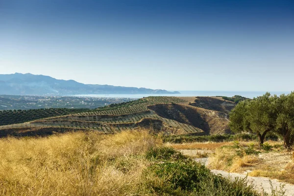 Landwirtschaftliche Feld Und Berg Beton Griechenland — Stockfoto