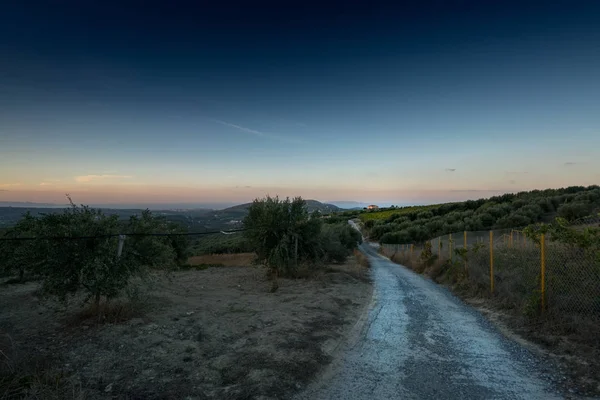 Δείτε Άδειο Δρόμο Και Πεδίο Κατά Ηλιοβασίλεμα Κρήτη Ελλάδα — Φωτογραφία Αρχείου