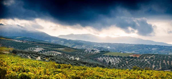 Vista Panorámica Del Paisaje Agrícola Mosaico Montaña Contra Cielo Nublado — Foto de Stock