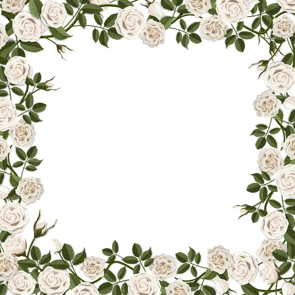 Cadre de fleurs fleurs blanches rose — Image vectorielle