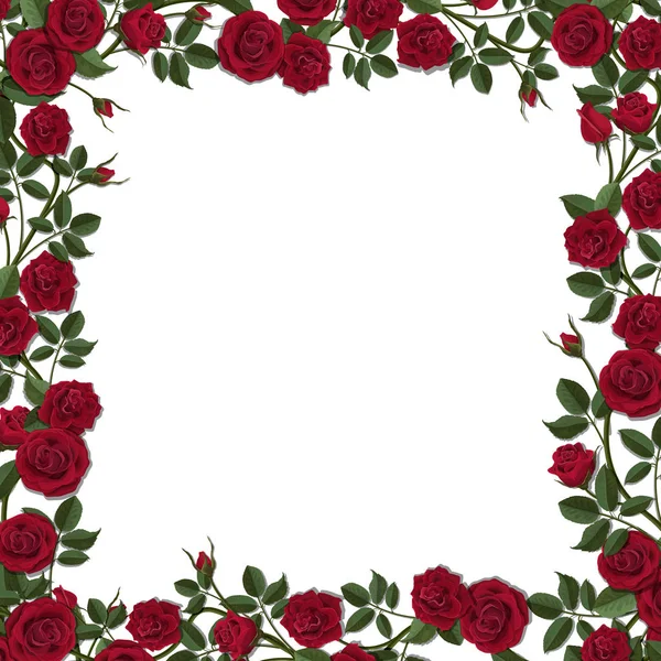 Red blossom rose flowers frame — Stock Vector