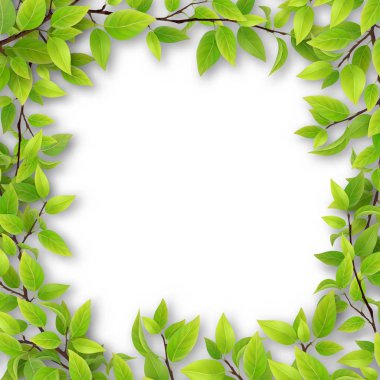 ağaç dalları çerçevesinde