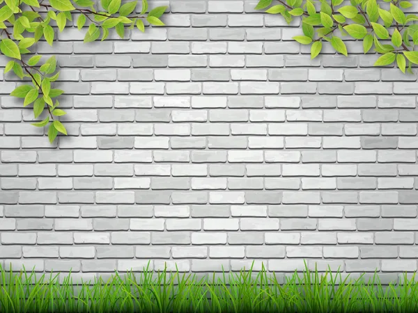 Grass and tree branches on white brick wall — Stock Vector