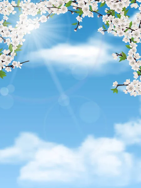 Spring tree branches with leaves and flowers on sky — Stock Vector