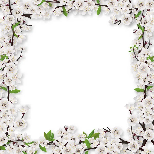 Frame of blossom tree branches — Stock Vector