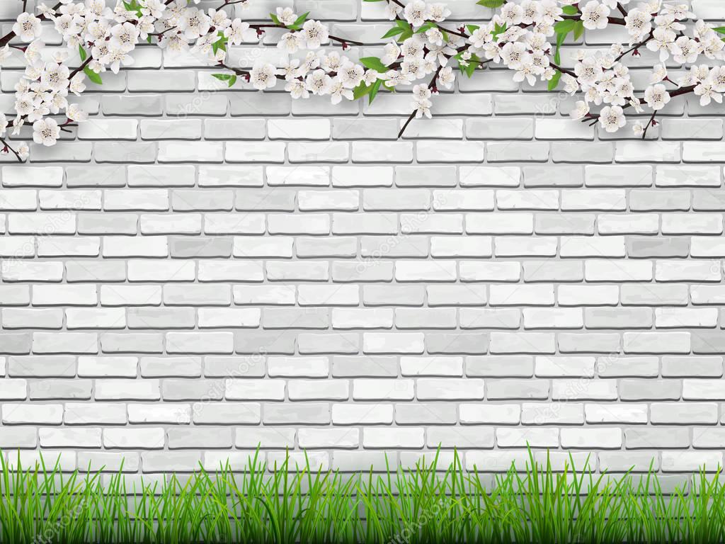 Blooming tree branch on white brick wall background