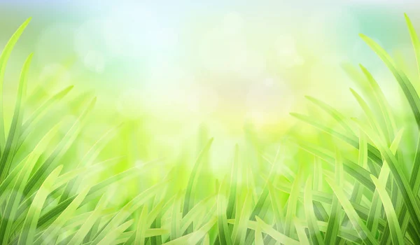 Herbe éblouissement et effet bokeh — Image vectorielle