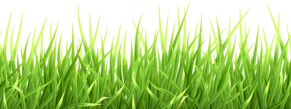 Super realistisk vektor gräs — Stock vektor