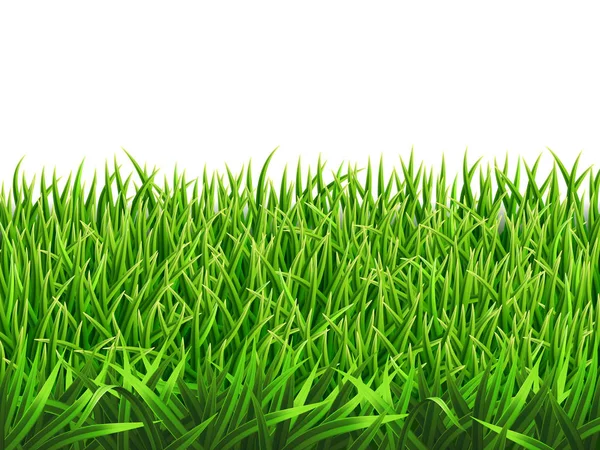 草地上的草 — 图库矢量图片
