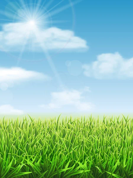Świeże zielone trawy na łące — Wektor stockowy