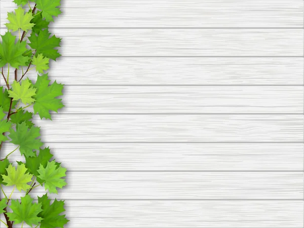 枫树枝上木制背景 — 图库矢量图片