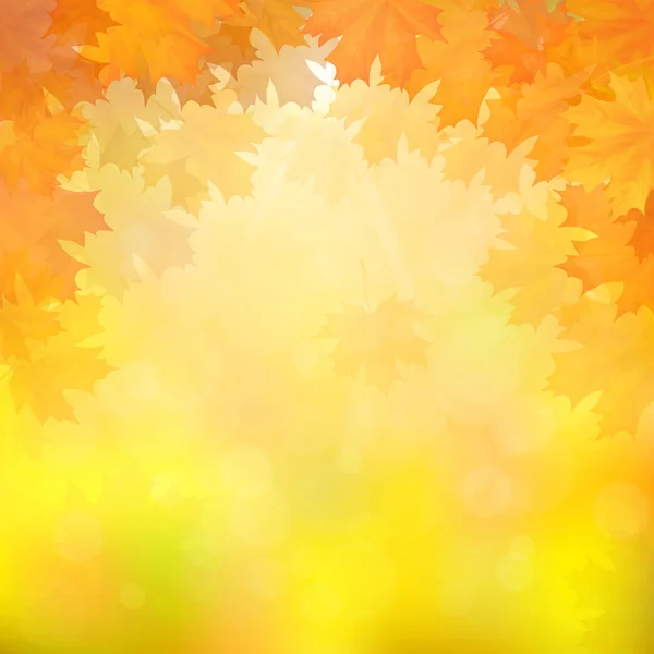 Herbstblätter auf verschwommenem Hintergrund — Stockvektor