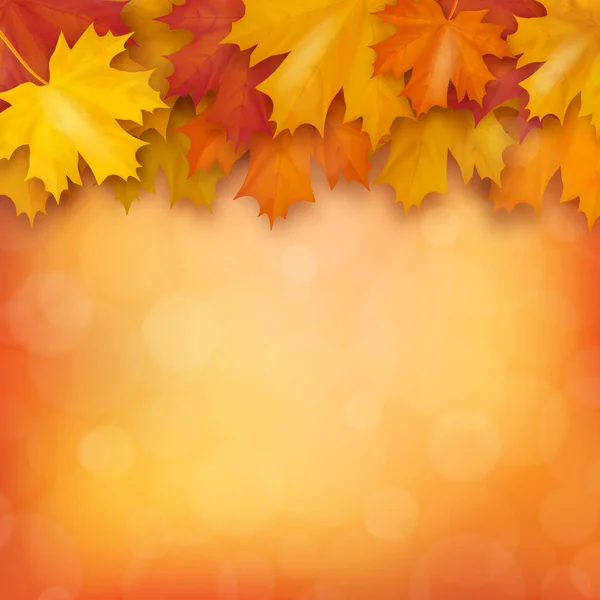 Podzimní javorové listy na rozmazané pozadí — Stockový vektor
