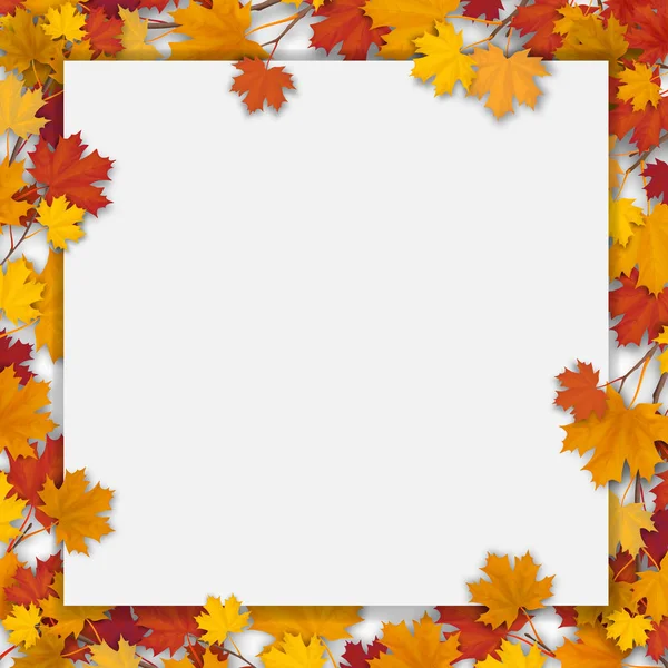 White blank with autumn maple leaves — Stock Vector