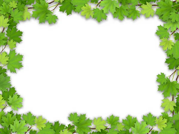 Frame from the green maple leaves — Stock Vector