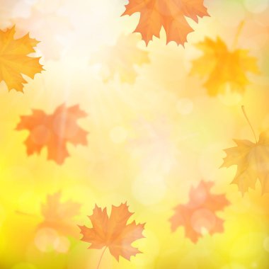 Sonbahar arka plan ile bulanık akçaağaç yaprakları düşmüş