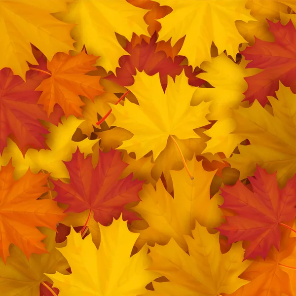 Feuilles d'érable tombées à l'automne fond — Image vectorielle