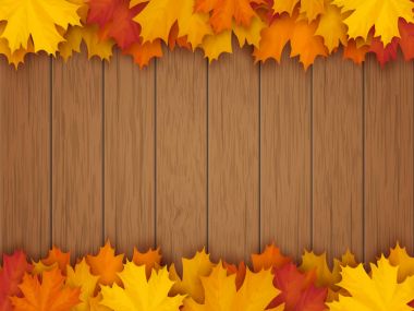 Sınırdan düşmüş akçaağaç ahşap arka plan üzerinde bırakır