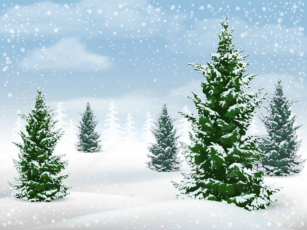 Winter landscape fir tree