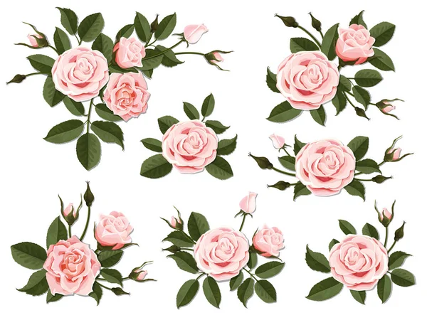 Rosa rosa boutonniere conjunto — Archivo Imágenes Vectoriales