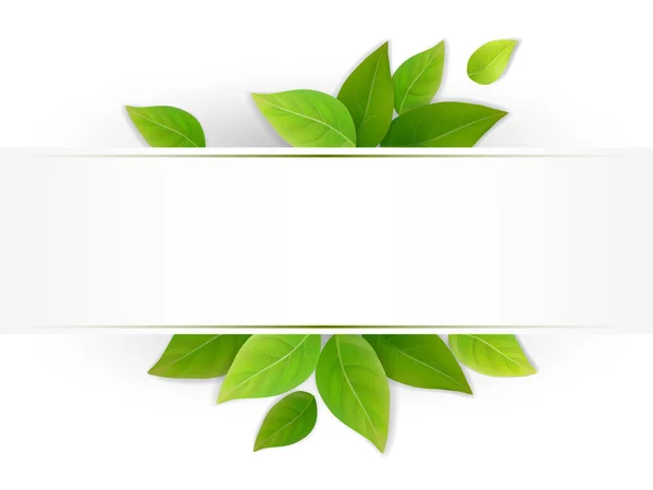 Etikett mit frischen grünen Blättern — Stockvektor