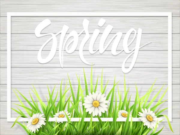Letras de primavera com grama e camomila — Vetor de Stock