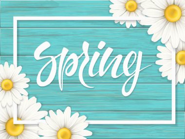 papatya çiçeği ve ahşap arka plan karede