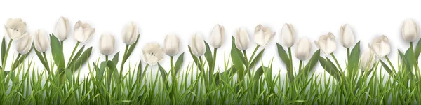 Vector tulipanes blancos y hierba — Vector de stock