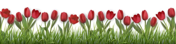 Векторные красные тюльпаны и трава — стоковый вектор