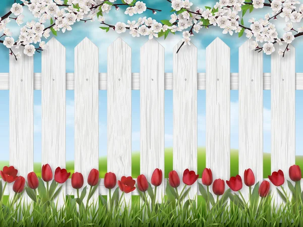 Paisaje de primavera con tulipanes y valla . — Vector de stock