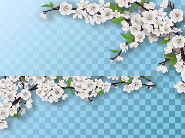 Conjunto de ramas de árboles frutales florecientes de primavera — Vector de stock