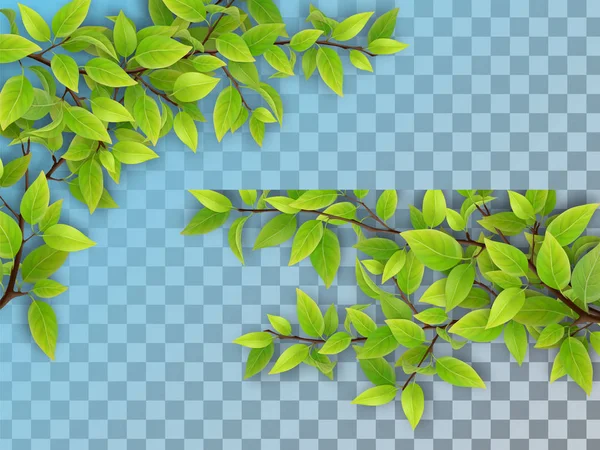 Uppsättning av trädgrenar med gröna blad — Stock vektor