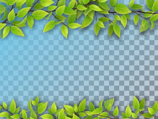 Uppsättning av trädgrenar med gröna blad — Stock vektor