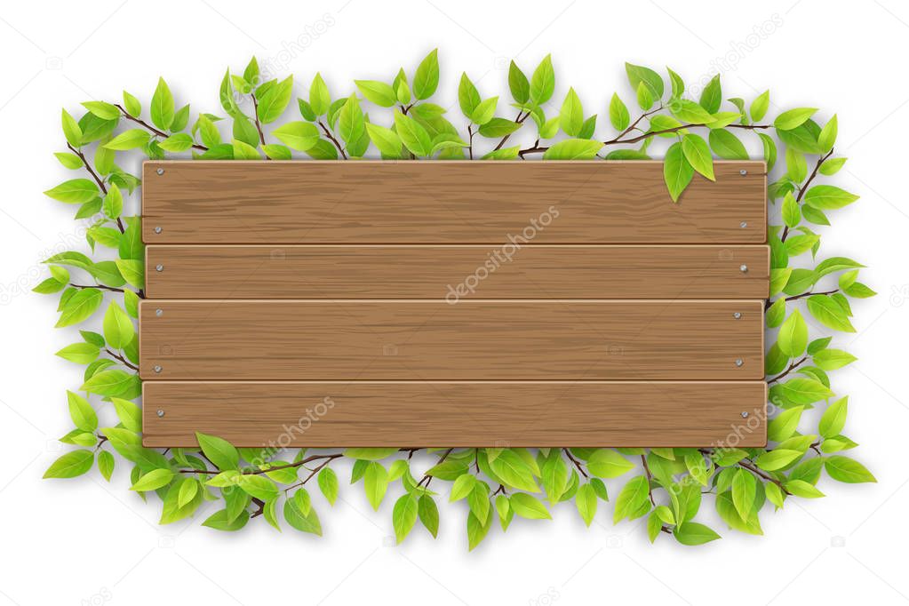 empty wooden sign with tree branch