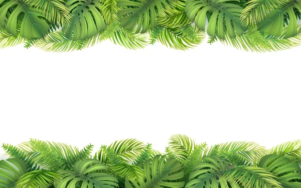 Bordure des feuilles tropicales — Image vectorielle