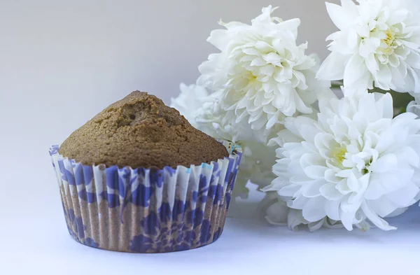 Confectionery Sweets Sweets Chocolate Cupcakes Muffin Cupcakes Decorated White Flower — Stock Photo, Image