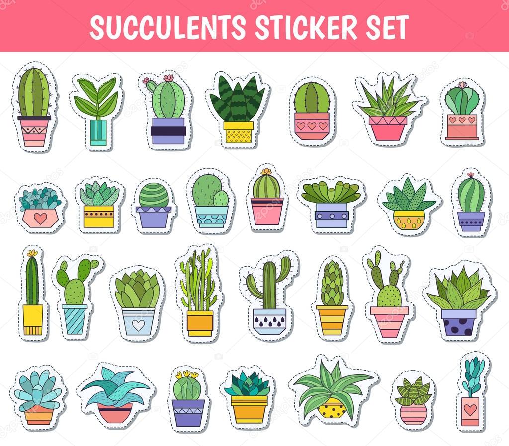Cactus and other succulents sticker vector illustration