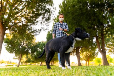 Korumalı maske takan bir adam, Corona virüsü salgını yüzünden dışarıda köpekle tek başına yürüyor.